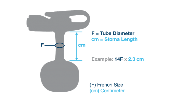 Illustration showing g-tube size